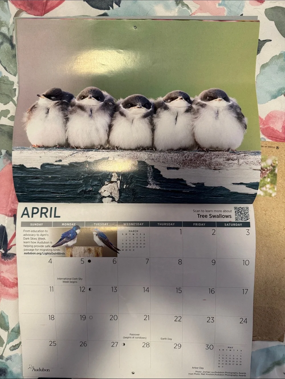 Protecting Birds and Nature 2027 Calendar